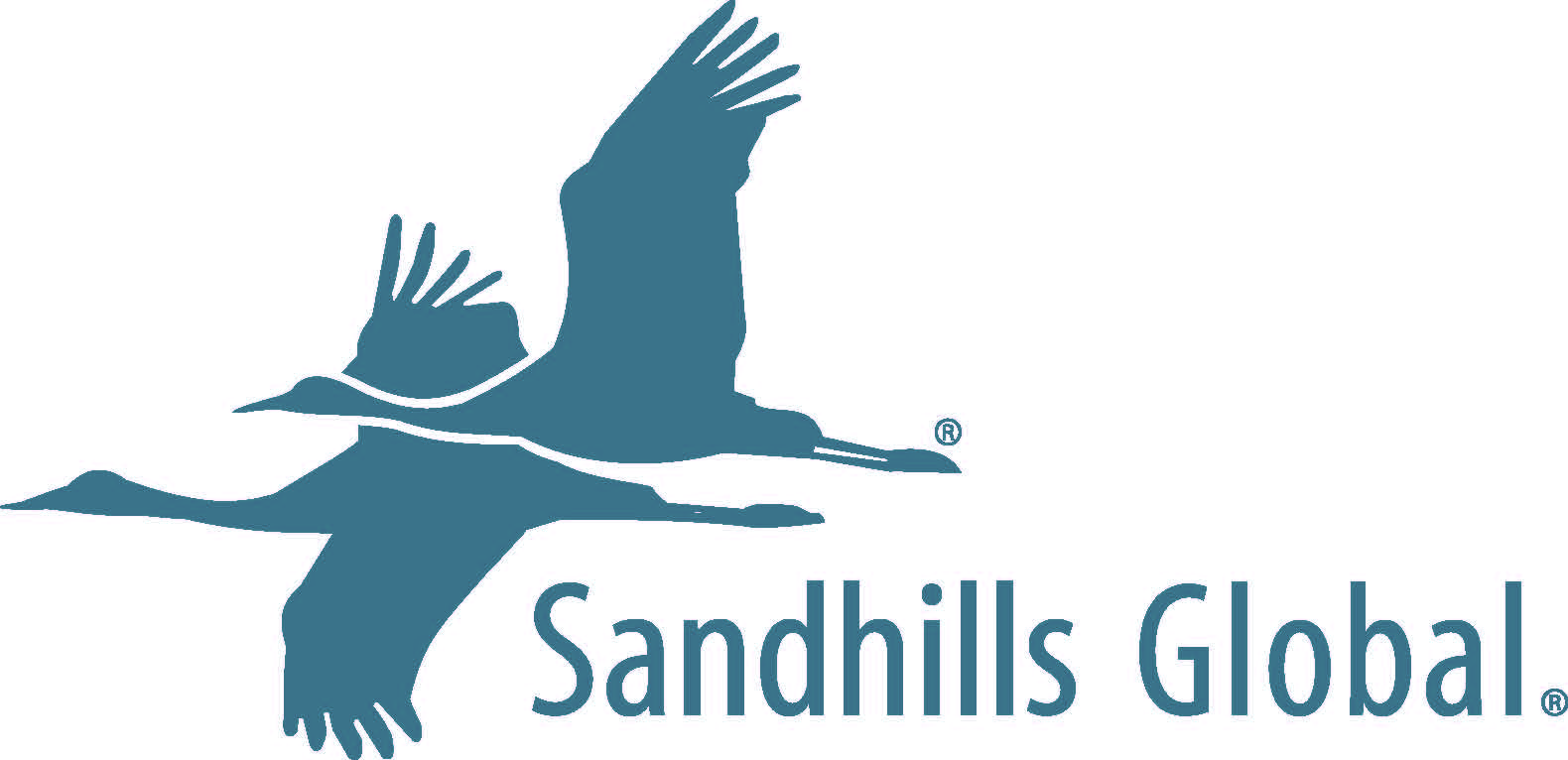 Sandhills Global Logo